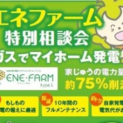 enefarm2